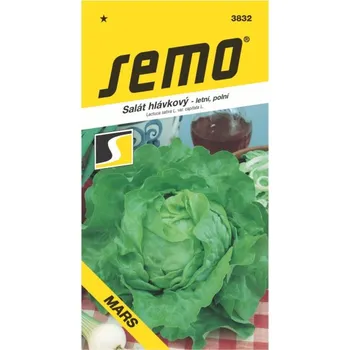 Semeno Salát hlávkový Mars