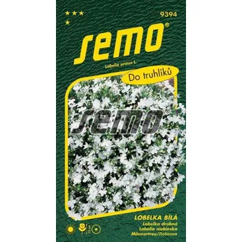Zahrada Semo Lobelka bílá