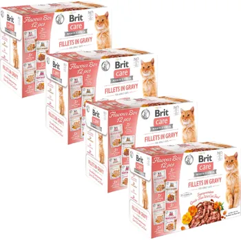 Volný čas BRIT CARE Kočičí filety v omáčce mix 48x85g