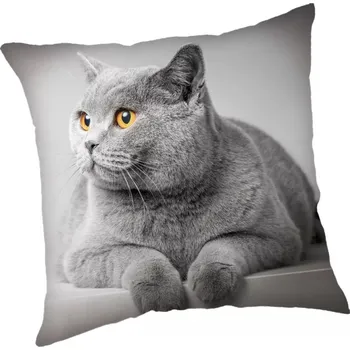 Povlečení Kočičí paní Polštář s britskou kočkou (povlak)