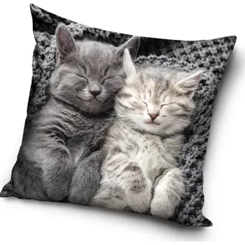 Povlečení Kočičí paní Sametový polštář se dvěma kočkami (povlak)