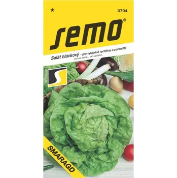 Semeno Salát hlávkový Smaragd