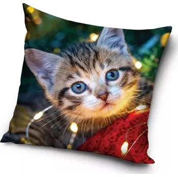 Povlečení Kočičí paní Sametový polštář s kotětem (povlak)