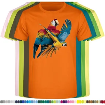 detske-levne-bavlnene-tricko-potisk-let-papousku Barva: Orange - oranžová, velikost: 152