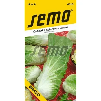 Zahrada Semo Čekanka salátová Bravo