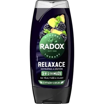Sprchový gel Sprch.gel Radox Men 3v1-ostruž. a zázvor,225ml