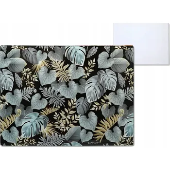 Obraz Skleněná deska - Květiny (CARMANI)