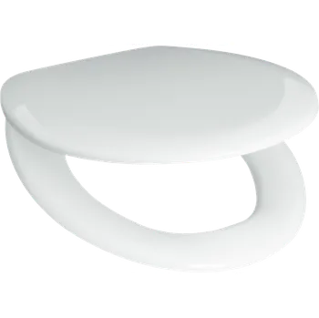 WC sedátko Jika WC prkénko Deep duroplast bílá H8932813000631