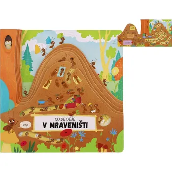 Bystrá hlava Co se děje v mraveništi, 2. vydání