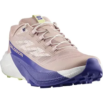Dámská běžecká obuv Salomon Pulsar W L48000200 - shadow gray/deep blue 39 1/3