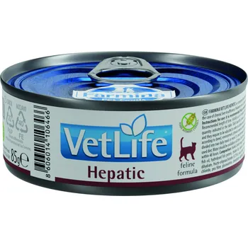 Krmivo pro kočku Vet Life Cat konzerva Hepatic 12x85g