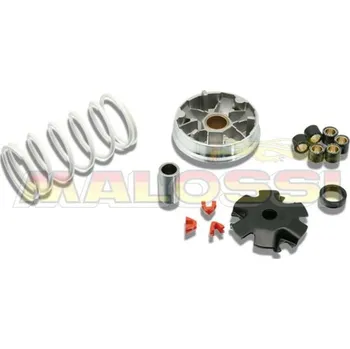 Auto-moto Variátor MALOSSI Multivar - Kymco-SYM 4T 5113790