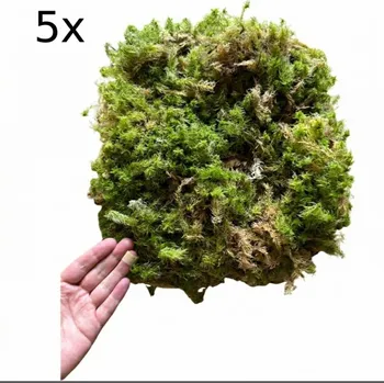 Podestýlka pro terarijní zvíře Rašeliník živý REPTER 2,5KG, 5 balení - násada, TOP kvalita 10x 30cm-30cm-8cm (2500g)