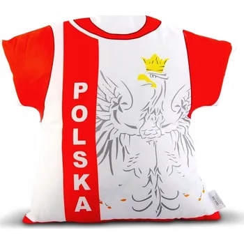 Polštář Polštář Froster pro fanoušky GAD01496