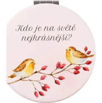 Desková hra Zrcátko Kdo je na světě nejkrásnější?