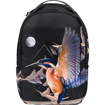 Školní batoh Školní batoh vícekomorový BAAGL vícebarevný 20 l