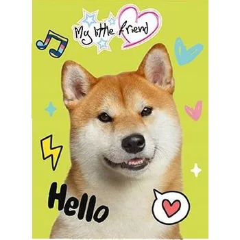 Sešit linkovaný A5 Unipap 16 listů