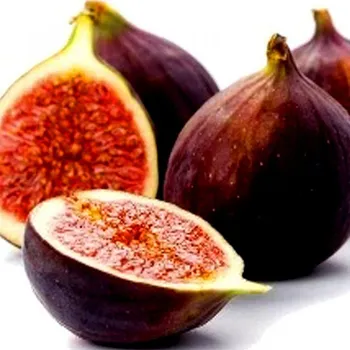 Sazenice FÍKOVNÍK SMOKVOŇ ´PERETTA´® kont. 1,3L