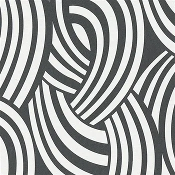 Tapeta Vliesové tapety na zeď Pigment Art Deco Waves černo-bílý