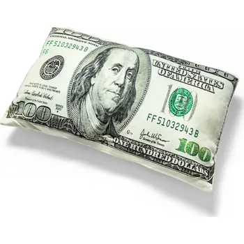 Dekorativní polštářek Dekorativní polštářek 40 x 25 x 8 cm 100 dollarovka