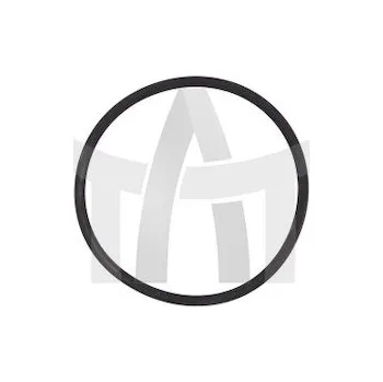 Těsnění motoru Těsnicí kroužek LEMA LE12299