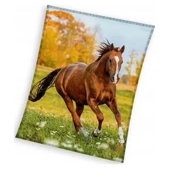 deka Deka Carbotex polyester 150 cm x 200 cm vícebarevná