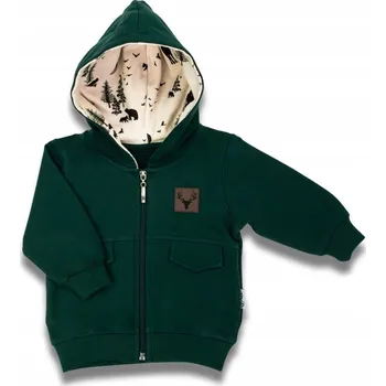 Chlapecká mikina Tepláková mikina zelená Nicol, vel. 74