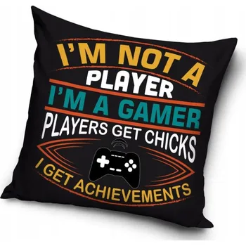 Polštář Polštář 40 x 40 cm