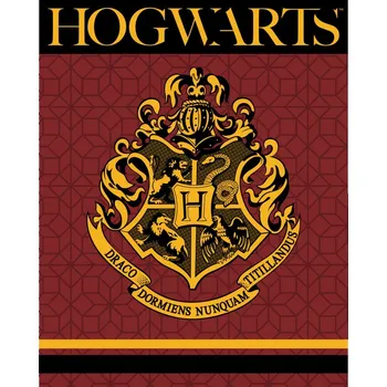 Dětská deka Dečka fleecová deka coral s motivem medvídka HARRY POTTER 120x150