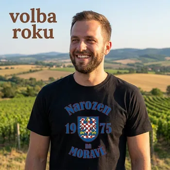 Pánské tričko STRIKER Narozen na Moravě Velikost: XXL, rok narození: 2003