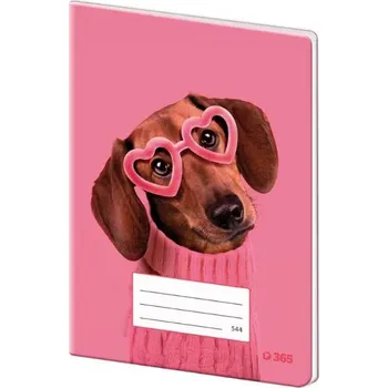 Sešit Sešit 544 linkovaný papírové desky - Cute