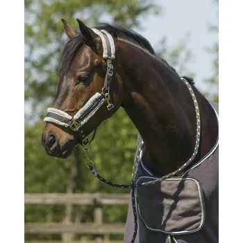 Sada ohlávka a vodítko QHP Dolci, šedá/stříbrná