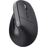 TRUST Bayo+ Ergo vertical wrl mouse BK