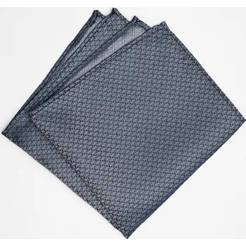 Látkový kapesník Pánský kapesníček BANDI, model EDUCTO 03