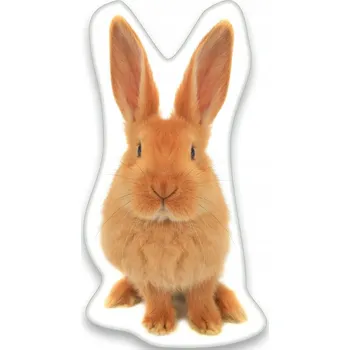 Polštář Polštář 36 x 22 cm