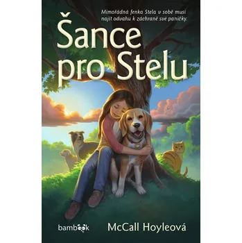 Šance pro Stelu Ekniha