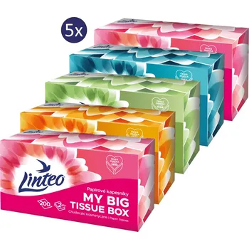 Drogerie LINTEO Box (5× 200 ks)