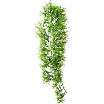 Dekorace do terária Hobby Tropica popínavá rostlina dekorace do terária 70 cm