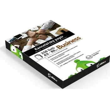 Kancelář Alza Business A3 80g