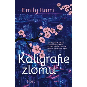 Kniha Kaligrafie zlomu Ekniha