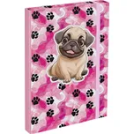 BAAGL Desky na školní sešity A4 Tlapky