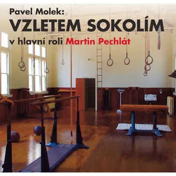 Pavel Molek: Vzletem sokolím Audiokniha