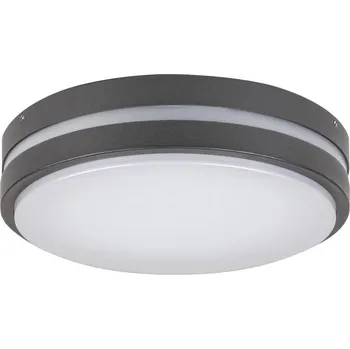 Žárovka Rabalux - LED Venkovní nástěnné svítidlo HAMBURG LED/10W/230V IP44