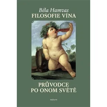 Filosofie vína: Průvodce po Onom světě Kniha