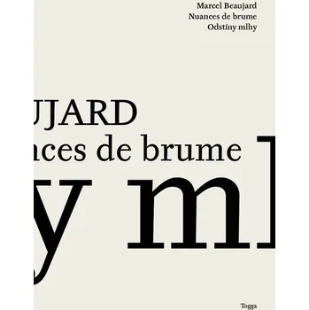 Kniha Odstíny mlhy Ekniha