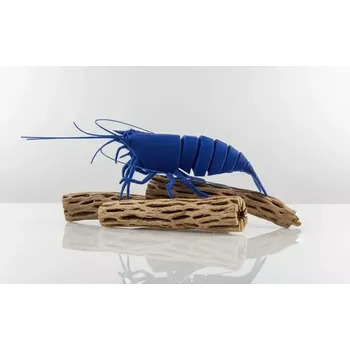 Cholla wood odřezky 50g (Kaktusové dřevo průměr 1,5 - 2,5cm)