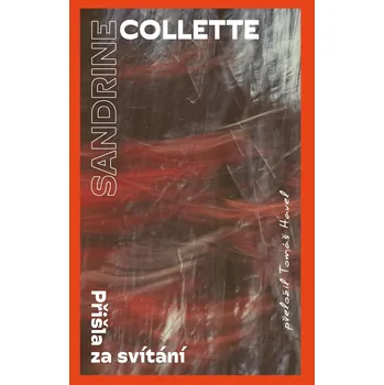 Přišla za svítání Ekniha