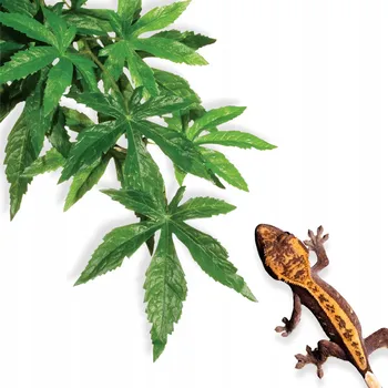 Dekorace do terária Závěsná rostlina Exo Terra Abutilon M Slezovec 55 cm