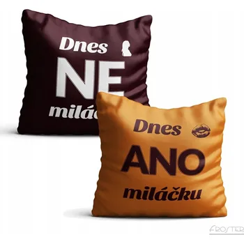 Povlak na polštářek Dekorační povlak na polštář Froster 40 x 40 cm