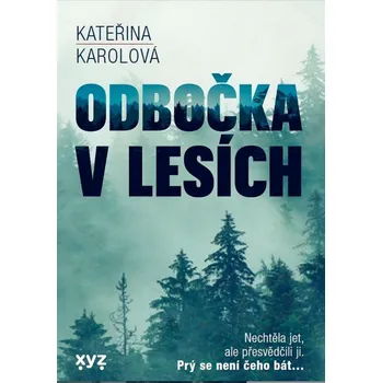 Odbočka v lesích Ekniha